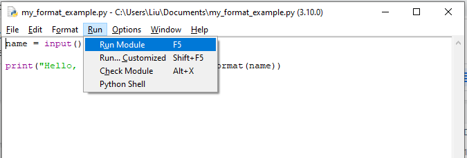 'A screenshot of the menu showing how to run a file using Run Module submenu.'